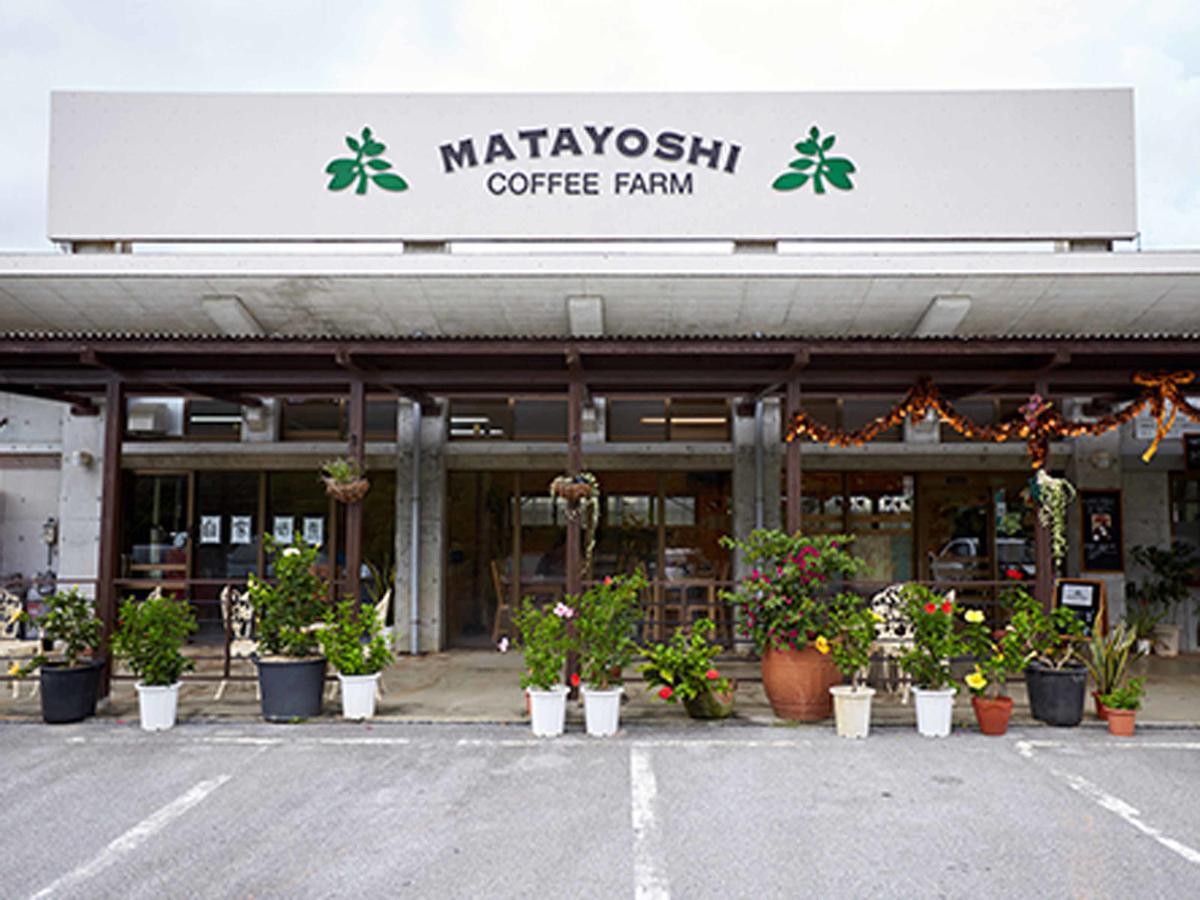 Вилла Matayoshi Coffee Farm Higashi Экстерьер фото