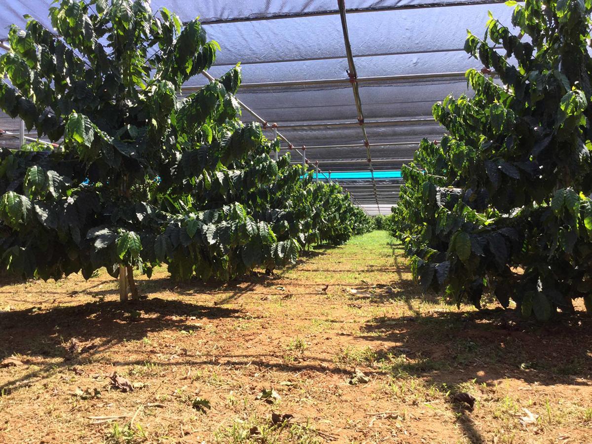 Вилла Matayoshi Coffee Farm Higashi Экстерьер фото