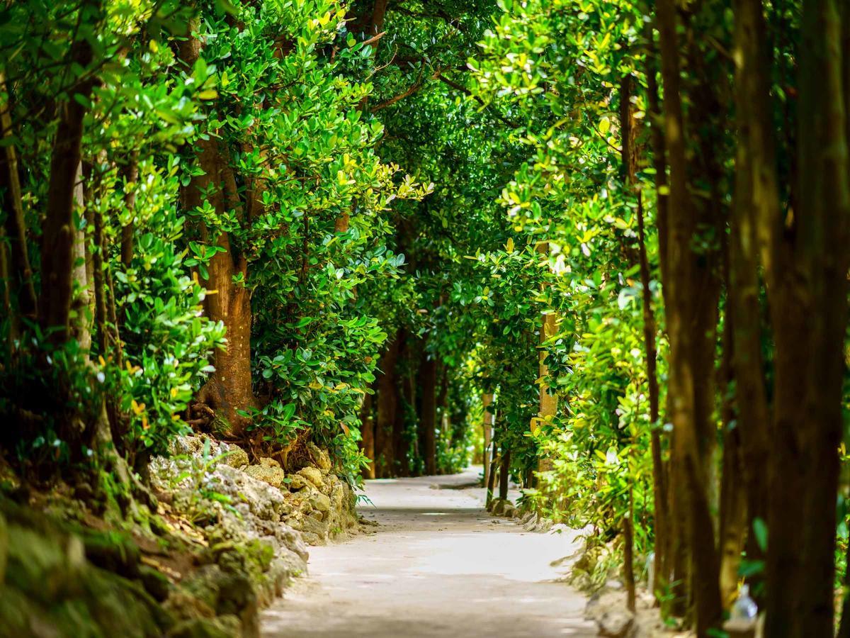 Вилла Matayoshi Coffee Farm Higashi Экстерьер фото